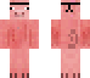ninja pig