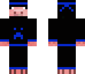 the ninja pig