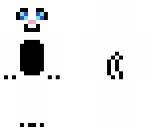 white kitten