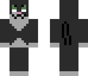 kitten