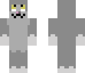 kitten