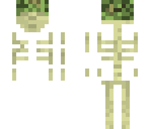 military skeleton