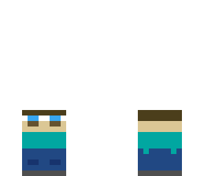 mini steve