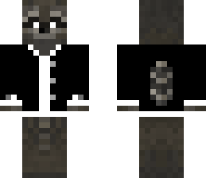 raccoon