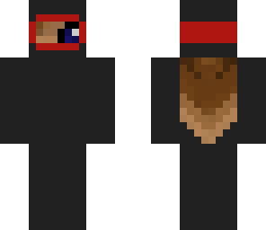 ninja penguin