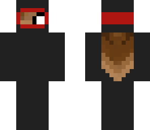 ninja penguin