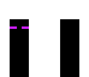 mini enderman