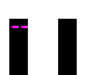 baby enderman