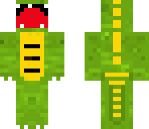 rapitori
