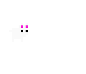 bunny rabbit