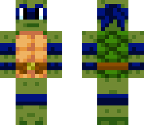 paul turtle