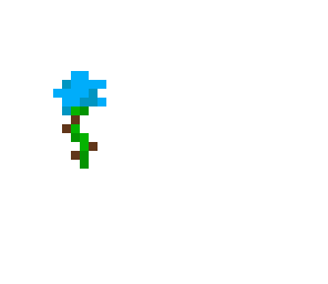 blue flower