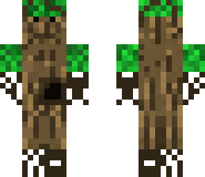 arbol