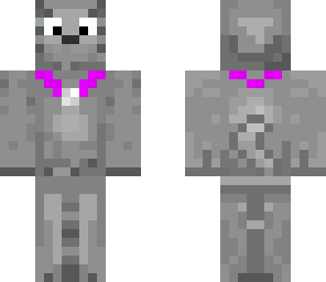 jaxie the cat with a collar