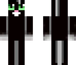 cat costume