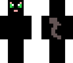 black kitty