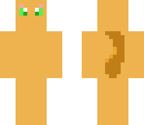 ginger cat