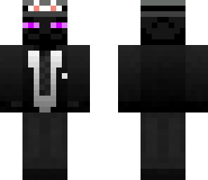 mr endercat
