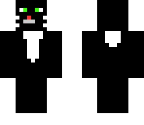 black cat