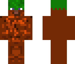 camoflague steve