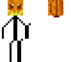 the unvisible pupkinguy