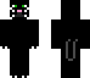 black cat