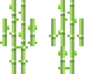 cane man