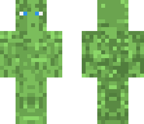 the forest spy