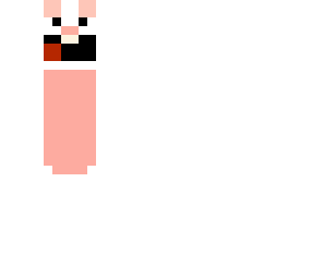 bunny