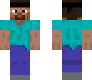 ninja steve