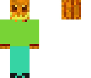 pump head