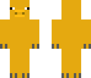 gold pig