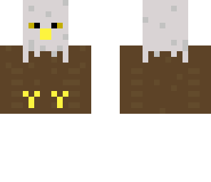 bald eagle