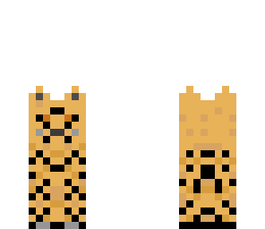 cheetah