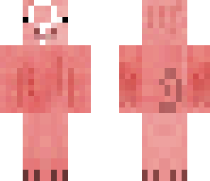 unknown pig