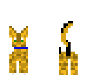 tejas's cat