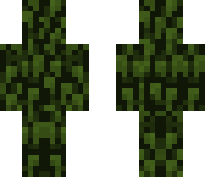 camouflage