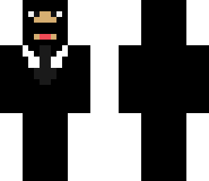 ninja spy