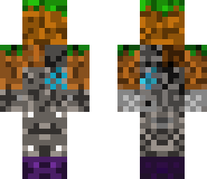 dirt and stone skin