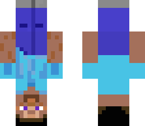 upside down steve