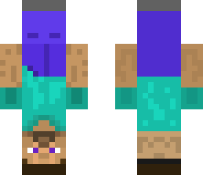 upside down steve