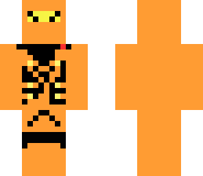 lloyd gold ninja