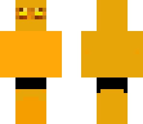 the golden ninja