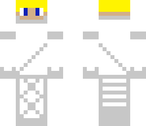 snow ninja