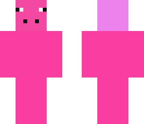 pig