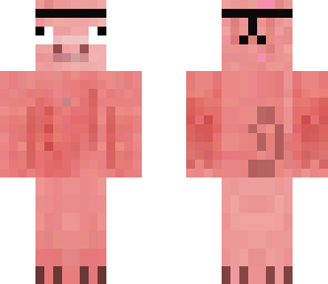 derp ninja pig