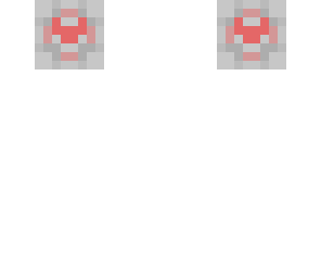 companion cube