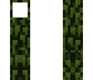 camo