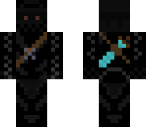 stealth ninja