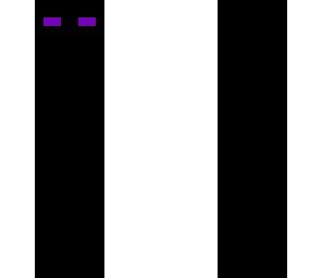 the armless enderman